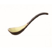 Spoon