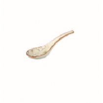 Spoon